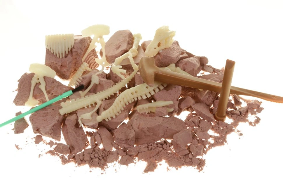 Набор 4M Оживи динозавра. ДНК Тираннозавра 00-07002. Фото 2