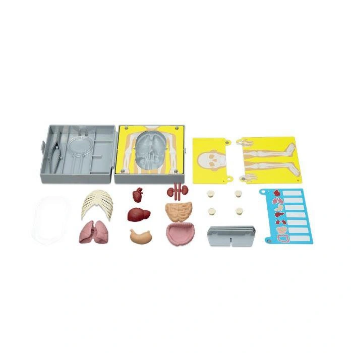 Набор 4M Юный врач. Хирургия. 00-03373. Фото 3