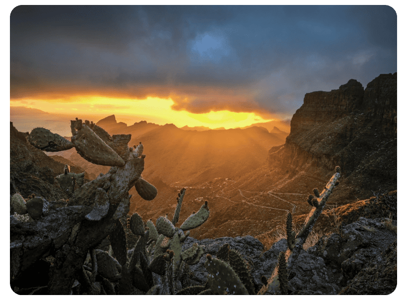 Huawei-Pura-80-Pro-07